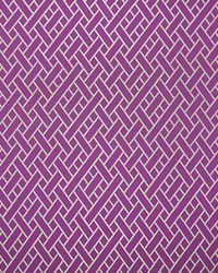 Nairobi GDT5374 6 Rosa by   