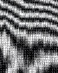 Victoria GDT5388 7 Black/blanco by   