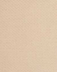 Nogal GDT5522 002 Crudo by   