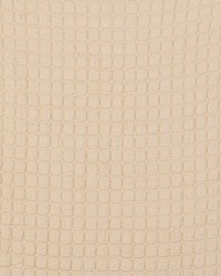 Morera GDT5523 002 Crudo by   