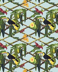 Tucan GDT5539 001 Original by  S Harris 