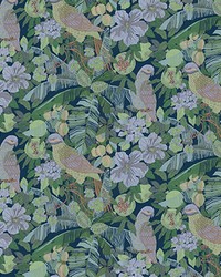 Morris GDT5540 001 Original by   