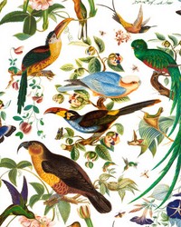 Oaxaca GDT5562 001 Blanco by   