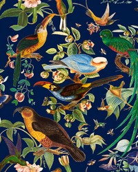 Oaxaca GDT5562 002 Azul by   