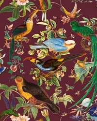 Oaxaca GDT5562 003 Berenjena by   