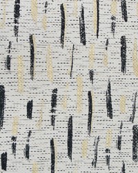 Vasco GDT5594 001  by   