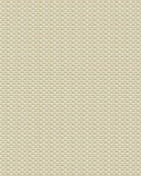 Isamu GDT5637 002 Natural by   