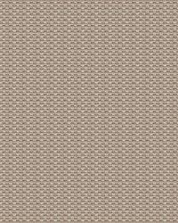 Isamu GDT5637 003 Tostado by   