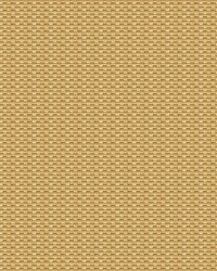 Isamu GDT5637 005 Paja by   