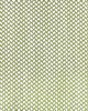 Kravet SABUKI VERDE