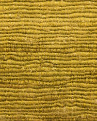 Ami GDT5640 001 Oro by   