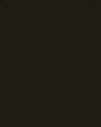 Palma GDT5688 079 Onyx by  Kravet 