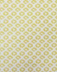 Yak GDT5695 004 Lima by   