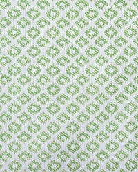 Yak GDT5695 005 Verde by   