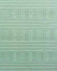 Kailas GDT5697 001 Verde by   