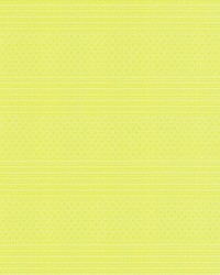 Kailas GDT5697 004 Lima by   