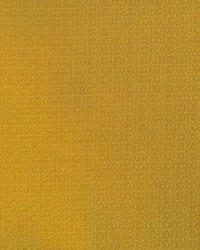 Lhasa GDT5698 010 Oro by   