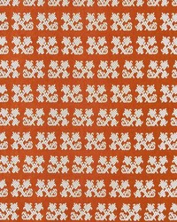 Tulip GDT5699 007 Naranja by   