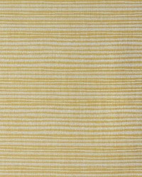 Hayk GDT5703 008 Oro by   