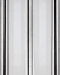 LUCCA GDW4853 001 NEGRO by  Kravet Wallcovering 