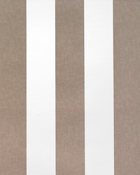 MILAN GDW4856 003 TOPO by  Kravet Wallcovering 