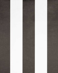 MILAN GDW4856 004 ANTRACITA by  Kravet Wallcovering 