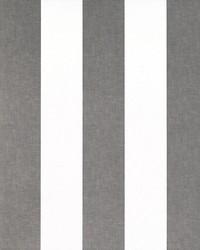 MILAN GDW4856 006 PLOMO by  Kravet Wallcovering 