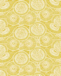 SOMBRILLAS GDW5436 002 MOSTAZA by   