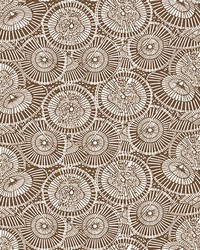 SOMBRILLAS GDW5436 003 CHOCOLATE by   