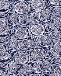 SOMBRILLAS GDW5436 004 NAVY by   