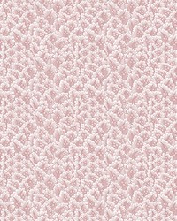 SECRET GARDEN GDW5437 001 ROSA by  Brewster Wallcovering 