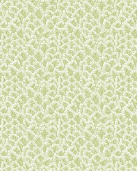 SECRET GARDEN GDW5437 002 VERDE by  Brewster Wallcovering 