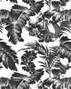 Kravet Wallcovering PLANTATION BLACK&WHITE