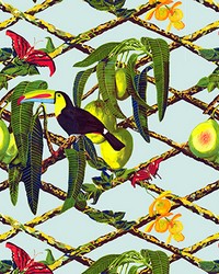 TUCAN GDW5453 001 ORIGINAL by   