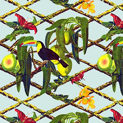 Kravet Wallcovering TUCAN GDW5453 001 ORIGINAL GASTON LIBRERIA GDW5453.001 Green VINYL - 100% Animals Bird and Butterfly Wallpapers Diamonds and Ogee Novelty Prints 
