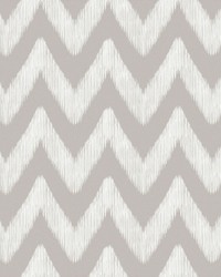 MEDINA GDW5767 005 TOPO by   