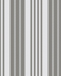 VEGA GDW5768 003 GRIS by   