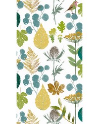 HERBARIUM GDW5770 001 by   