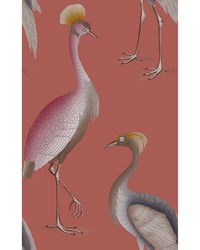 GARZAS GDW5773 008 FRAMBUESA by   