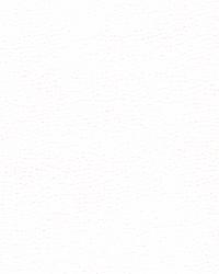 Misc:: GILLIAN 101  by  Kravet 