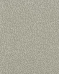 Misc:: GILLIAN 11  by  Kravet 