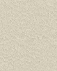 Misc:: GILLIAN 1116  by  Kravet 