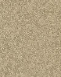 Misc:: GILLIAN 116  by  Kravet 