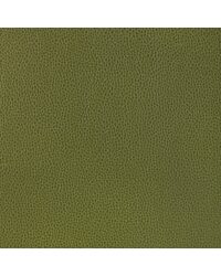 KRAVET DESIGN GILLIAN 33 by   