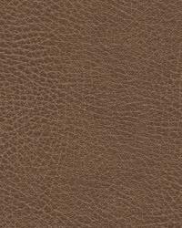 Misc:: GLENDALE 1616  by   