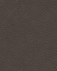 Misc:: GLENDALE 21  by   