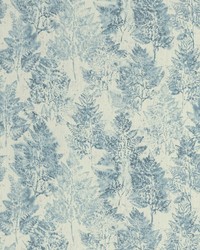 Heiki Fern 5 Lapis by   