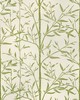 Kravet HS BAMBOO CACTUS