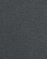 Impact 11 Graphite by  Kravet 