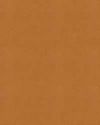 Impact 16 Caramel by  Kravet 